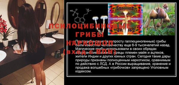 СК Тайга